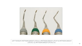 LEFT TO RIGHT, PATTISON GRACEY LITE #1-2, PATTISON GRACEY LITE #7-8, PATTISON GRACEY
LITE #11-12, PATTISON GRACEY LITE #13-14.
94
 