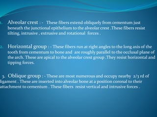 1. Alveolar crest : - These fibers extend obliquely from cementum just
beneath the junctional epithelium to the alveolar crest .These fibers resist
tilting, intrusive , extrusive and rotational forces .
2. Horizontal group : - These fibers run at right angles to the long axis of the
tooth from cementum to bone and are roughly parallel to the occlusal plane of
the arch. These are apical to the alveolar crest group .They resist horizontal and
tipping forces.
3. Oblique group : - These are most numerous and occupy nearby 2/3 rd of
ligament . These are inserted into alveolar bone at a position coronal to their
attachment to cementum . These fibers resist vertical and intrusive forces .
 