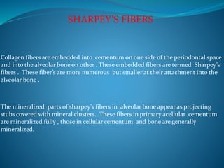 SHARPEY’S FIBERS
Collagen fibers are embedded into cementum on one side of the periodontal space
and into the alveolar bone on other . These embedded fibers are termed Sharpey’s
fibers . These fiber’s are more numerous but smaller at their attachment into the
alveolar bone .
The mineralized parts of sharpey’s fibers in alveolar bone appear as projecting
stubs covered with mineral clusters. These fibers in primary acellular cementum
are mineralized fully , those in cellular cementum and bone are generally
mineralized.
 