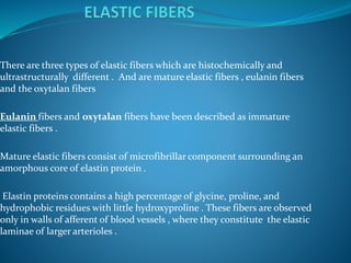There are three types of elastic fibers which are histochemically and
ultrastructurally different . And are mature elastic fibers , eulanin fibers
and the oxytalan fibers
Eulanin fibers and oxytalan fibers have been described as immature
elastic fibers .
Mature elastic fibers consist of microfibrillar component surrounding an
amorphous core of elastin protein .
Elastin proteins contains a high percentage of glycine, proline, and
hydrophobic residues with little hydroxyproline . These fibers are observed
only in walls of afferent of blood vessels , where they constitute the elastic
laminae of larger arterioles .
 