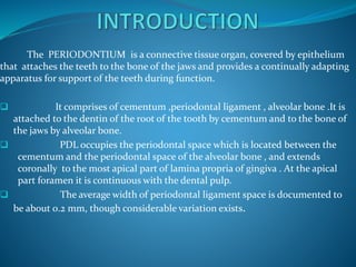The PERIODONTIUM is a connective tissue organ, covered by epithelium
that attaches the teeth to the bone of the jaws and provides a continually adapting
apparatus for support of the teeth during function.
 It comprises of cementum ,periodontal ligament , alveolar bone .It is
attached to the dentin of the root of the tooth by cementum and to the bone of
the jaws by alveolar bone.
 PDL occupies the periodontal space which is located between the
cementum and the periodontal space of the alveolar bone , and extends
coronally to the most apical part of lamina propria of gingiva . At the apical
part foramen it is continuous with the dental pulp.
 The average width of periodontal ligament space is documented to
be about 0.2 mm, though considerable variation exists.
 