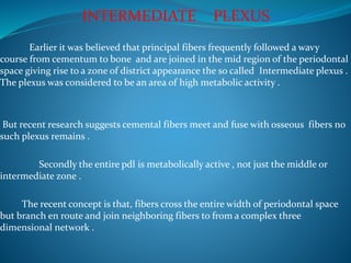 INTERMEDIATE PLEXUS
Earlier it was believed that principal fibers frequently followed a wavy
course from cementum to bone and are joined in the mid region of the periodontal
space giving rise to a zone of district appearance the so called Intermediate plexus .
The plexus was considered to be an area of high metabolic activity .
But recent research suggests cemental fibers meet and fuse with osseous fibers no
such plexus remains .
Secondly the entire pdl is metabolically active , not just the middle or
intermediate zone .
The recent concept is that, fibers cross the entire width of periodontal space
but branch en route and join neighboring fibers to from a complex three
dimensional network .
 