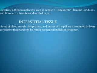 Substrate adhesion molecules such as tenascin , osteonectin , laminin , undulin ,
and fibronectin have been identified in pdl .
INTERSTITIAL TISSUE
Some of blood vessels , lymphatics , and nerves of the pdl are surrounded by loose
connective tissue and can be readily recognized in light microscope .
 