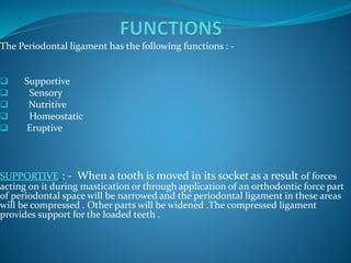 The Periodontal ligament has the following functions : -
 Supportive
 Sensory
 Nutritive
 Homeostatic
 Eruptive
SUPPORTIVE : - When a tooth is moved in its socket as a result of forces
acting on it during mastication or through application of an orthodontic force part
of periodontal space will be narrowed and the periodontal ligament in these areas
will be compressed . Other parts will be widened .The compressed ligament
provides support for the loaded teeth .
 