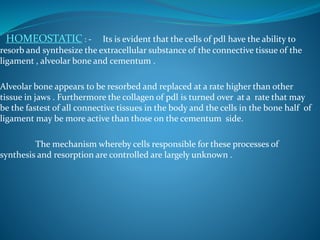 HOMEOSTATIC : - Its is evident that the cells of pdl have the ability to
resorb and synthesize the extracellular substance of the connective tissue of the
ligament , alveolar bone and cementum .
Alveolar bone appears to be resorbed and replaced at a rate higher than other
tissue in jaws . Furthermore the collagen of pdl is turned over at a rate that may
be the fastest of all connective tissues in the body and the cells in the bone half of
ligament may be more active than those on the cementum side.
The mechanism whereby cells responsible for these processes of
synthesis and resorption are controlled are largely unknown .
 