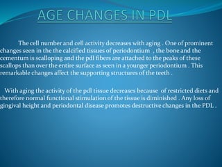The cell number and cell activity decreases with aging . One of prominent
changes seen in the the calcified tissues of periodontium , the bone and the
cementum is scalloping and the pdl fibers are attached to the peaks of these
scallops than over the entire surface as seen in a younger periodontium . This
remarkable changes affect the supporting structures of the teeth .
With aging the activity of the pdl tissue decreases because of restricted diets and
therefore normal functional stimulation of the tissue is diminished . Any loss of
gingival height and periodontal disease promotes destructive changes in the PDL .
 
