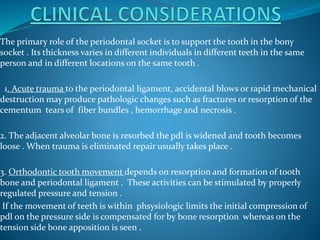 The primary role of the periodontal socket is to support the tooth in the bony
socket . Its thickness varies in different individuals in different teeth in the same
person and in different locations on the same tooth .
1. Acute trauma to the periodontal ligament, accidental blows or rapid mechanical
destruction may produce pathologic changes such as fractures or resorption of the
cementum tears of fiber bundles , hemorrhage and necrosis .
2. The adjacent alveolar bone is resorbed the pdl is widened and tooth becomes
loose . When trauma is eliminated repair usually takes place .
3. Orthodontic tooth movement depends on resorption and formation of tooth
bone and periodontal ligament . These activities can be stimulated by properly
regulated pressure and tension .
If the movement of teeth is within phsysiologic limits the initial compression of
pdl on the pressure side is compensated for by bone resorption whereas on the
tension side bone apposition is seen .
 