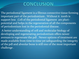 The periodontal ligament is a fibrous connective tissue forming
important part of the periodontium . Without it tooth is
support less .Cell of the periodontal ligament are pluri-
potential and helps in the regeneration of all the components
of periodontium lost in the periodontal disease.
A better understanding of cell and molecular biology of
developing and regenerating periodontium offers newer
avenues to regenerate the pdl . Newer options of treatment are
made available from time to time yet safeguarding the integrity
of the pdl and alveolar bone is still one of the most important
challenge .
 