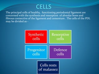 CELLS
The principal cells of healthy, functioning periodontal ligament are
concerned with the synthesis and resorption of alveolar bone and
fibrous connective of the ligament and cementum . The cells of the PDL
may be divided as -
Synthetic
cells
Resorptive
cells
Progenitor
cells
Defence
cells
Cells rests
of malassez
 