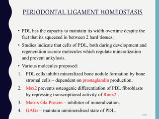 PERIODONTAL LIGAMENT HOMEOSTASIS
• PDL has the capacity to maintain its width overtime despite the
fact that its squeezed in between 2 hard tissues.
• Studies indicate that cells of PDL, both during development and
regeneration secrete molecules which regulate mineralization
and prevent ankylosis.
• Various molecules proposed:
1. PDL cells inhibit mineralized bone nodule formation by bone
stromal cells – dependent on prostaglandin production.
2. Msx2 prevents osteogenic differentiation of PDL fibroblasts
by repressing transcriptional activity of Runx2 .
3. Matrix Gla Protein – inhibitor of mineralization.
4. GAGs – maintain unmineralised state of PDL.
17/71
 