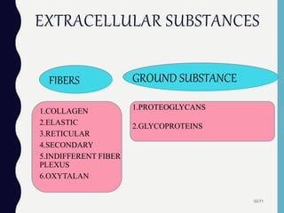 EXTRACELLULAR SUBSTANCES
FIBERS
1.COLLAGEN
2.ELASTIC
3.RETICULAR
4.SECONDARY
5.INDIFFERENT FIBER
PLEXUS
6.OXYTALAN
32/71
GROUND SUBSTANCE
1.PROTEOGLYCANS
2.GLYCOPROTEINS
 