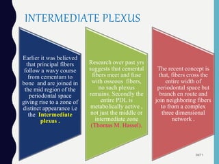 INTERMEDIATE PLEXUS
Earlier it was believed
that principal fibers
follow a wavy course
from cementum to
bone and are joined in
the mid region of the
periodontal space
giving rise to a zone of
distinct appearance i.e
the Intermediate
plexus .
Research over past yrs
suggests that cemental
fibers meet and fuse
with osseous fibers,
no such plexus
remains. Secondly the
entire PDL is
metabolically active ,
not just the middle or
intermediate zone
(Thomas M. Hassel).
The recent concept is
that, fibers cross the
entire width of
periodontal space but
branch en route and
join neighboring fibers
to from a complex
three dimensional
network .
39/71
 