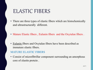 ELASTIC FIBERS
• There are three types of elastic fibers which are histochemically
and ultrastructurally different.
• Mature Elastic fibers , Eulanin fibers and the Oxytalan fibers .
• Eulanin fibers and Oxytalan fibers have been described as
immature elastic fibers.
MATURE ELASTIC FIBERS
• Consist of microfibrillar component surrounding an amorphous
core of elastin protein .
40/71
 