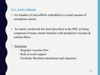 EULANIN FIBERS
• Are bundles of microfibrils embedded in a small amount of
amorphous elastin.
• An elastic meshwork has been described in the PDL as being
composed of many elastin lamellae with peripheral oxytalan &
eulanin fibers
• Functions
- Regulate vascular flow
- Role in tooth support
- Facilitate fibroblast attachment and migration
42/71
 