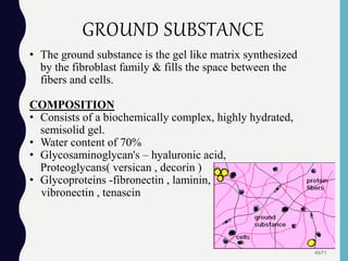 GROUND SUBSTANCE
• The ground substance is the gel like matrix synthesized
by the fibroblast family & fills the space between the
fibers and cells.
COMPOSITION
• Consists of a biochemically complex, highly hydrated,
semisolid gel.
• Water content of 70%
• Glycosaminoglycan's – hyaluronic acid,
Proteoglycans( versican , decorin )
• Glycoproteins -fibronectin , laminin,
vibronectin , tenascin
45/71
 