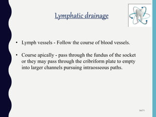 Lymphatic drainage
54/71
• Lymph vessels - Follow the course of blood vessels.
• Course apically - pass through the fundus of the socket
or they may pass through the cribriform plate to empty
into larger channels pursuing intraosseous paths.
 