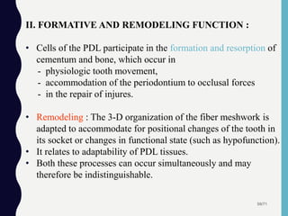 59/71
II. FORMATIVE AND REMODELING FUNCTION :
• Cells of the PDL participate in the formation and resorption of
cementum and bone, which occur in
- physiologic tooth movement,
- accommodation of the periodontium to occlusal forces
- in the repair of injures.
• Remodeling : The 3-D organization of the fiber meshwork is
adapted to accommodate for positional changes of the tooth in
its socket or changes in functional state (such as hypofunction).
• It relates to adaptability of PDL tissues.
• Both these processes can occur simultaneously and may
therefore be indistinguishable.
 