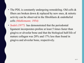 • The PDL is constantly undergoing remodeling. Old cells &
fibers are broken down & replaced by new ones, & mitotic
activity can be observed in the fibroblasts & endothelial
cells (Muhlemann; 1954)
• Sodek (1977) has demonstrated that the periodontal
ligament incorporates proline at least 5 times faster than
gingiva or alveolar bone and that the biological half-life of
mature collagen was 20% and 17% less than found in
gingiva and alveolar bone, respectively.
60/71
 