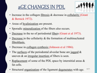 aGE CHANGES IN PDL
63/71
• Increase in the collagen fibrosis & decrease in cellularity (Grant
& Bernick 1972).
• Areas of hyalinization are present.
• Sporadic mineralization of the fibers also occurs.
• Decrease in the no of periodontal fibers (Grant et al 1973).
• Decrease in the cellularity & the formation of multinucleated
fibroblasts.
• Decrease in collagen synthesis (Johnson et al 1986).
• The surfaces of the periodontal alveolar bone are jagged &
uneven & an irregular insertion of fibers is seen.
• Replacement of some of the PDL space by interstitial areas &
fat cells.
• Structural organization of the ligament degenerates with age.
 