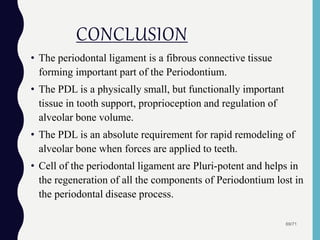 CONCLUSION
• The periodontal ligament is a fibrous connective tissue
forming important part of the Periodontium.
• The PDL is a physically small, but functionally important
tissue in tooth support, proprioception and regulation of
alveolar bone volume.
• The PDL is an absolute requirement for rapid remodeling of
alveolar bone when forces are applied to teeth.
• Cell of the periodontal ligament are Pluri-potent and helps in
the regeneration of all the components of Periodontium lost in
the periodontal disease process.
69/71
 