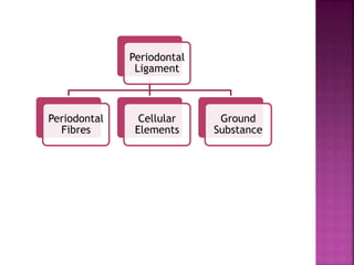 Periodontal
Ligament
Periodontal
Fibres
Cellular
Elements
Ground
Substance
 