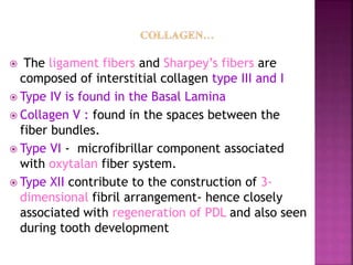  The ligament fibers and Sharpey’s fibers are
composed of interstitial collagen type III and I
 Type IV is found in the Basal Lamina
 Collagen V : found in the spaces between the
fiber bundles.
 Type VI - microfibrillar component associated
with oxytalan fiber system.
 Type XII contribute to the construction of 3-
dimensional fibril arrangement- hence closely
associated with regeneration of PDL and also seen
during tooth development
 