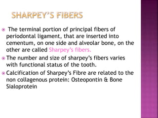  The terminal portion of principal fibers of
periodontal ligament, that are inserted into
cementum, on one side and alveolar bone, on the
other are called Sharpey’s fibers.
 The number and size of sharpey’s fibers varies
with functional status of the tooth.
 Calcification of Sharpey’s Fibre are related to the
non collagenous protein: Osteopontin & Bone
Sialoprotein
 