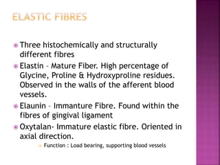 Three histochemically and structurally
different fibres
 Elastin – Mature Fiber. High percentage of
Glycine, Proline & Hydroxyproline residues.
Observed in the walls of the afferent blood
vessels.
 Elaunin – Immanture Fibre. Found within the
fibres of gingival ligament
 Oxytalan- Immature elastic fibre. Oriented in
axial direction.
 Function : Load bearing, supporting blood vessels
 