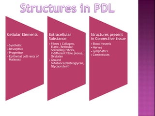 Cellular Elements
•Synthetic
•Resorptive
•Progenitor
•Epithelial cell rests of
Malassez
Extracellular
Substance
•Fibres ( Collagen,
Elasic, Reticular,
Secondary Fibres,
Indifferent fibre plexus,
Oxytalan
•Ground
Substance(Proteoglycan,
Glycoprotein)
Structures present
in Connective tissue
•Blood veseels
•Nerves
•Lymphatics
•Cementicles
 