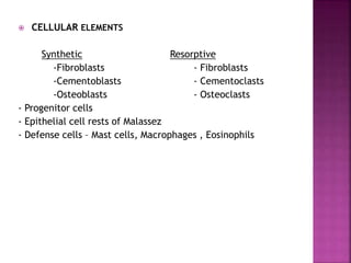  CELLULAR ELEMENTS
Synthetic Resorptive
-Fibroblasts - Fibroblasts
-Cementoblasts - Cementoclasts
-Osteoblasts - Osteoclasts
- Progenitor cells
- Epithelial cell rests of Malassez
- Defense cells – Mast cells, Macrophages , Eosinophils
 