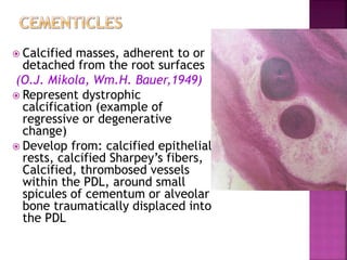  Calcified masses, adherent to or
detached from the root surfaces
(O.J. Mikola, Wm.H. Bauer,1949)
 Represent dystrophic
calcification (example of
regressive or degenerative
change)
 Develop from: calcified epithelial
rests, calcified Sharpey’s fibers,
Calcified, thrombosed vessels
within the PDL, around small
spicules of cementum or alveolar
bone traumatically displaced into
the PDL
 
