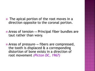 The apical portion of the root moves in a
direction opposite to the coronal portion.
 Areas of tension→ Principal fiber bundles are
taut rather than wavy.
 Areas of pressure→ fibers are compressed,
the tooth is displaced & a corresponding
distortion of bone exists in a direction of
root movement (Picton DC, 1967)
 