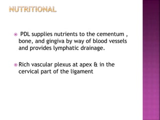  PDL supplies nutrients to the cementum ,
bone, and gingiva by way of blood vessels
and provides lymphatic drainage.
 Rich vascular plexus at apex & in the
cervical part of the ligament
 