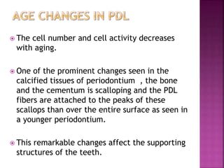  The cell number and cell activity decreases
with aging.
 One of the prominent changes seen in the
calcified tissues of periodontium , the bone
and the cementum is scalloping and the PDL
fibers are attached to the peaks of these
scallops than over the entire surface as seen in
a younger periodontium.
 This remarkable changes affect the supporting
structures of the teeth.
 