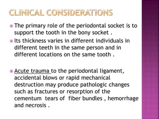  The primary role of the periodontal socket is to
support the tooth in the bony socket .
 Its thickness varies in different individuals in
different teeth in the same person and in
different locations on the same tooth .
 Acute trauma to the periodontal ligament,
accidental blows or rapid mechanical
destruction may produce pathologic changes
such as fractures or resorption of the
cementum tears of fiber bundles , hemorrhage
and necrosis .
 
