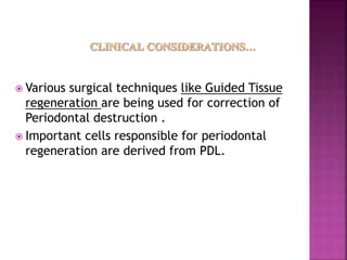  Various surgical techniques like Guided Tissue
regeneration are being used for correction of
Periodontal destruction .
 Important cells responsible for periodontal
regeneration are derived from PDL.
 