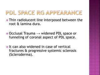  Thin radiolucent line interposed between the
root & lamina dura.
 Occlusal Trauma → widened PDL space or
funneling of coronal aspect of PDL space.
 It can also widened in case of vertical
fractures & progressive systemic sclerosis
(Scleroderma).
 