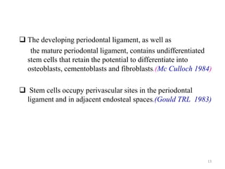  The developing periodontal ligament, as well as
the mature periodontal ligament, contains undifferentiated
stem cells that retain the potential to differentiate into
osteoblasts, cementoblasts and fibroblasts.(Mc Culloch 1984)
 Stem cells occupy perivascular sites in the periodontal
ligament and in adjacent endosteal spaces.(Gould TRL 1983)
13
 