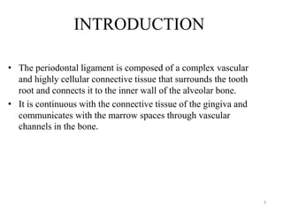 INTRODUCTION
• The periodontal ligament is composed of a complex vascular
and highly cellular connective tissue that surrounds the tooth
root and connects it to the inner wall of the alveolar bone.
• It is continuous with the connective tissue of the gingiva and
communicates with the marrow spaces through vascular
channels in the bone.
3
 