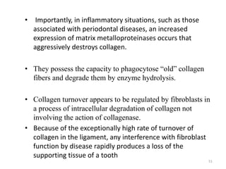 • Importantly, in inflammatory situations, such as those
associated with periodontal diseases, an increased
expression of matrix metalloproteinases occurs that
aggressively destroys collagen.
• They possess the capacity to phagocytose “old” collagen
fibers and degrade them by enzyme hydrolysis.
• Collagen turnover appears to be regulated by fibroblasts in
a process of intracellular degradation of collagen not
involving the action of collagenase.
• Because of the exceptionally high rate of turnover of
collagen in the ligament, any interference with fibroblast
function by disease rapidly produces a loss of the
supporting tissue of a tooth
51
 