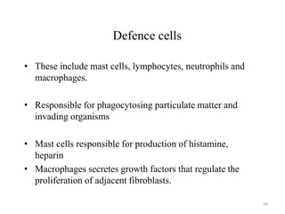 Defence cells
• These include mast cells, lymphocytes, neutrophils and
macrophages.
• Responsible for phagocytosing particulate matter and
invading organisms
• Mast cells responsible for production of histamine,
heparin
• Macrophages secretes growth factors that regulate the
proliferation of adjacent fibroblasts.
59
 