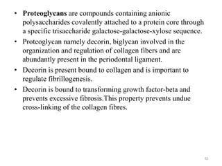 • Proteoglycans are compounds containing anionic
polysaccharides covalently attached to a protein core through
a specific trisaccharide galactose-galactose-xylose sequence.
• Proteoglycan namely decorin, biglycan involved in the
organization and regulation of collagen fibers and are
abundantly present in the periodontal ligament.
• Decorin is present bound to collagen and is important to
regulate fibrillogenesis.
• Decorin is bound to transforming growth factor-beta and
prevents excessive fibrosis.This property prevents undue
cross-linking of the collagen fibres.
61
 