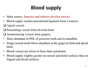 Blood supply
• Main source- Superior and inferior alveolar arteries
• Blood supply reaches periodontal ligament from 3 sources
 Apical vessels
 Penetrating vessels from alveolar bone
 Anastomosing vessels from gingiva
• More abundant in PDL of posterior teeth and in mandible.
• Single rooted tooth-More abundant in the gingival third and apical
third.
• Blood vessels are closer to bone than cementum
• Blood supply slightly greater on mesial and distal surfaces than on
lingual and facial surfaces.
63
 