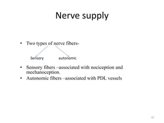 Nerve supply
• Two types of nerve fibers-
• Sensory fibers –associated with nociception and
mechanoception.
• Autonomic fibers –associated with PDL vessels
65
Sensory autonomic
 