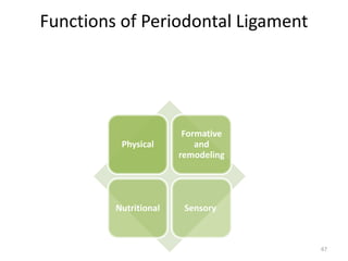 Functions of Periodontal Ligament
Physical
Formative
and
remodeling
Nutritional Sensory.
67
 