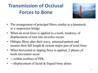 Transmission of Occlusal
Forces to Bone
• The arrangement of principal fibers similar to a hammock
or a suspension bridge
• When an axial force is applied to a tooth, tendency of
displacement of root into alveolus occurs
• Oblique fibres alter their wavy, untensed pattern and
assume their full length & sustain major part of axial force
• When horizontal or tipping force is applied, 2 phases of
tooth movement occur
• ---within confines of PDL
• ---displacement of facial & lingual bony plates
72
 