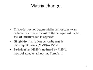 Matrix changes
• Tissue destruction begins within perivascular extra
cellular matrix where most of the collagen within the
foci of inflammation is degraded
• Gingivitis- matrix destruction by matrix
metalloproteinases (MMP)--- PMNL
• Periodontitis- MMP’s produced by PMNL,
macrophages, keratinocytes, fibroblasts
80
 