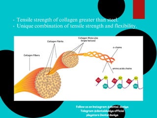 Tensile strength of collagen greater than steel.
Unique combination of tensile strength and flexibility.
Follow us on Instagram @dental_duniya
Telegram @dentalduniya official
playstore Dental duniya
 