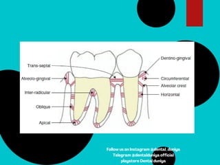 Follow us on Instagram @dental_duniya
Telegram @dentalduniya official
playstore Dental duniya
 