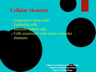 Cellular elements
Connective tissue cells
Epithelial cells
Immune system cells
Cells associated with neuro- vascular
elements
Follow us on Instagram @dental_duniya
Telegram @dentalduniya official
playstore Dental duniya
 